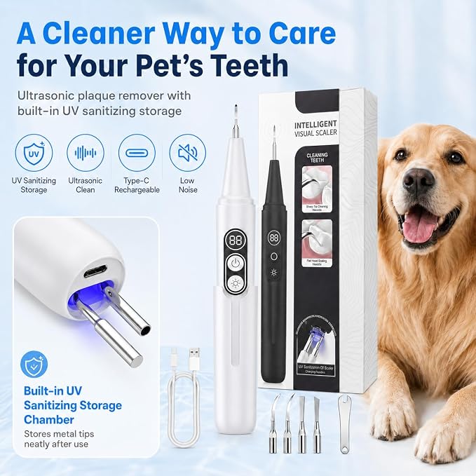 Dog Plaque Remover with UV Sanitizing Chamber,6 Modes,Waterproof | Built-in UV Sanitizing Storage Chamber,Stores & Sanitizes Metal Tips After Use,6 Cleaning Modes for Different Needs