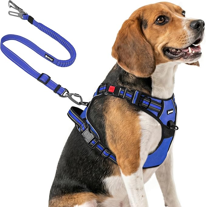 Joytale No Pull Dog Harness & Seat Belt, Easy On 3-Buckle, M, Navy Blue | Front Clip Reduces Pulling, Escape-Resistant Design, Adjustable Fit, Soft Padding for Comfort, Secure Tether for Safer Travel