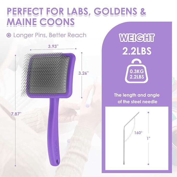 Large Dog 3 in 1 Grooming Kit, Large, Purple