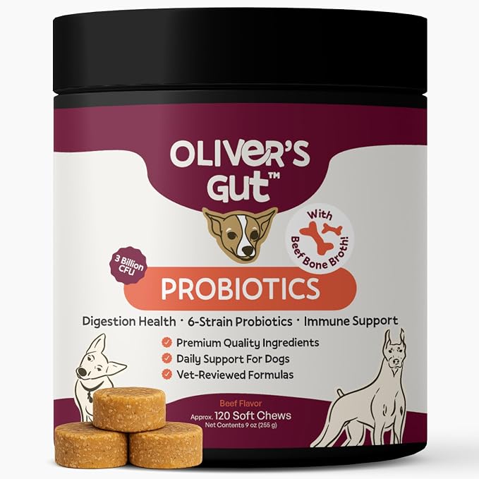 Oliver's Gut Probiotics for Dogs, Digestion Health · 6-Strain Probiotics · Immune Support. Papaya & Pumpkin Powder. Beef Bone Broth Powder. Gut Health. Beef - 120 Count.