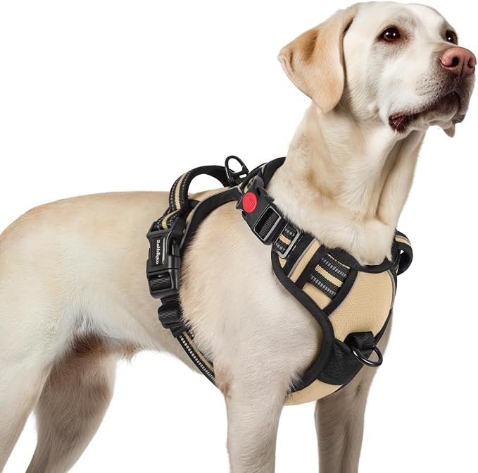 rabbitgoo Dog Harness for Large, Updated Easy On & Off with 3 Buckles | No Pull No Choke, Walking with 2 Clips and Handle, Adjustable Soft Reflective, Beige, Large