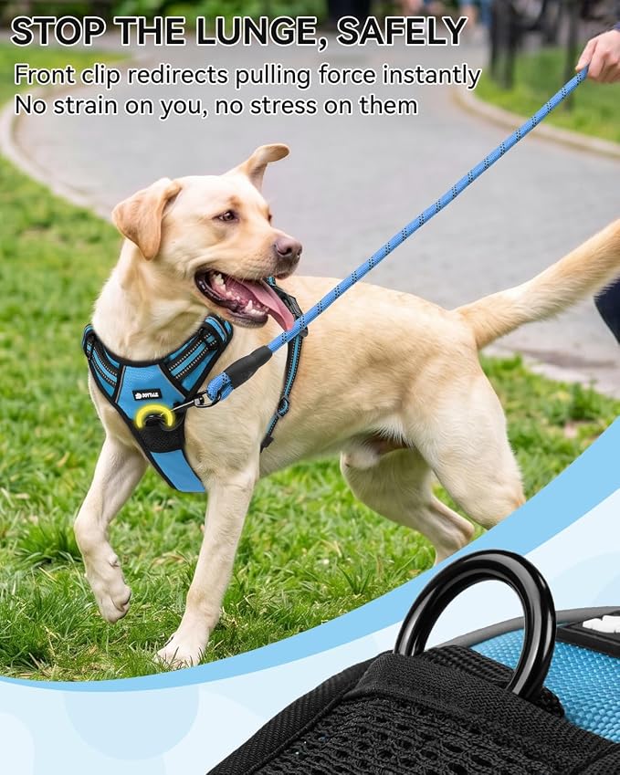 Joytale No Pull Dog Harness & Seat Belt, Easy On 3-Buckle, S, Sky Blue | Front Clip Reduces Pulling, Escape-Resistant Design, Adjustable Fit, Soft Padding for Comfort, Secure Tether for Safer Travel