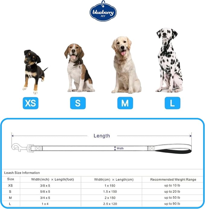 Blueberry Pet 9 Patterns Durable Spring Scent Inspired Floral Rose Baby Pink Dog Leash 5 ft x 3/8" for Puppy, X-Small, Leashes for Dogs