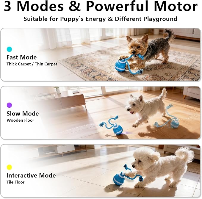 Interactive Dog Toys Ball, 3 Modes & Powerful Motor, Random Movement & Swinging Rope, Bird Chirping Stimulate, USB C Rechargeable for Small Medium Dogs for Boredom, Anxiety Relief