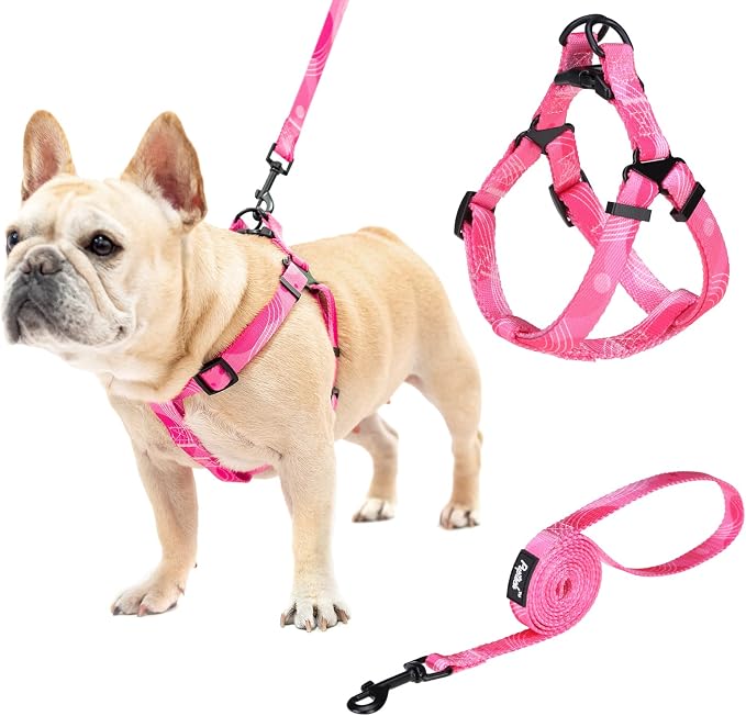 PUPTECK No Pull Dog Harness Medium Sized Step-in Adjustable Puppy Vest | Soft Webbing Basic Halter with Leash for Outdoor Walking