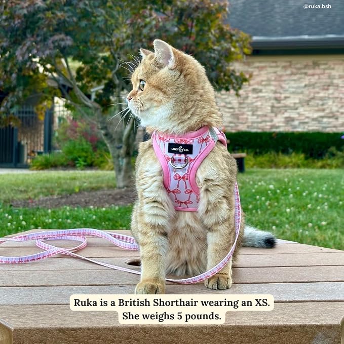 Lucy & Co. Take a Bow Step-in Cat Harness & Leash Bundle – Reflective, Breathable & Adjustable Harness for Cats, Kittens & Small Dogs, Lightweight & Secure and Dual Leash Clips – Medium