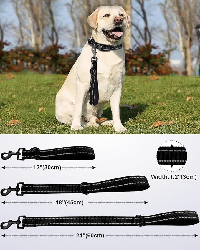 Joytale Short Dog Leash for Close Control & Training, 18", Black | Padded Comfort Handle, Reinforced Nylon Webbing, Secure Metal Clip, for Busy Streets & Heel Training