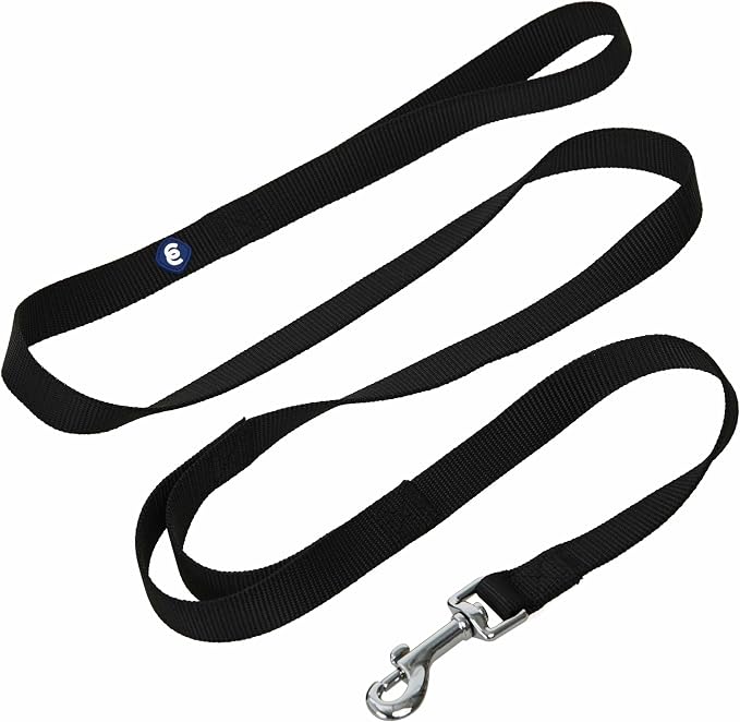 Blueberry Pet Essentials Double Handle Dog Leash for Traffic Control | 5ft. x 5/8" Small Dog Leash | Classic Dog Leash with Two Handles for Dogs That Pull | Nylon 2 Handle Dog Leash in Black