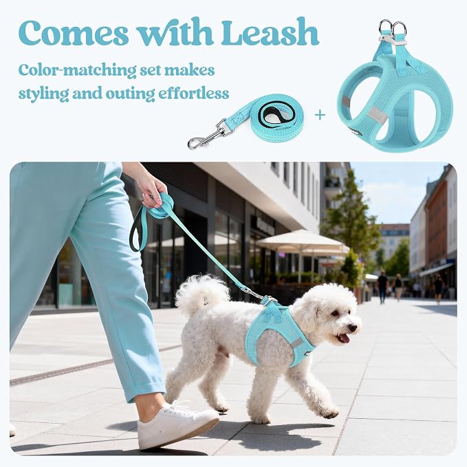 rabbitgoo Dog Harness Medium Sized and Leash Set, Step-in Puppy Pet Vest | Light, Soft, Breathable Air Mesh, Easy on and Remove with Hook & Loop, Secure Reflective for Walking, Mint Blue XL