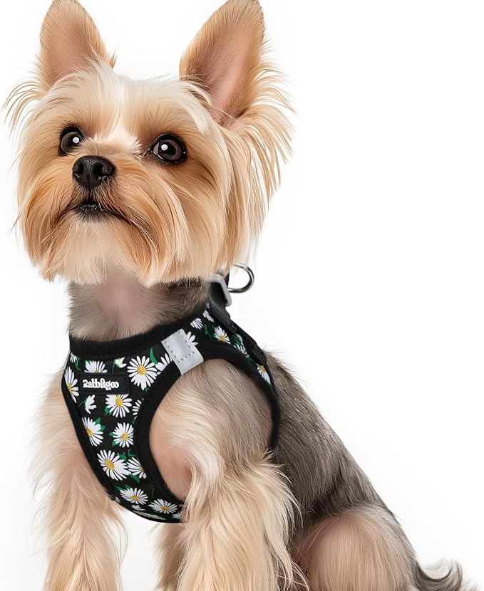 rabbitgoo Step-in Small Dog Harness, Puppy Vest for Small Sized Pet | Easy Put on and off, Lightweight, Soft, Breathable Quick-Dry Air Mesh for Comfortable Secure Walking, Midnight Daisy XS