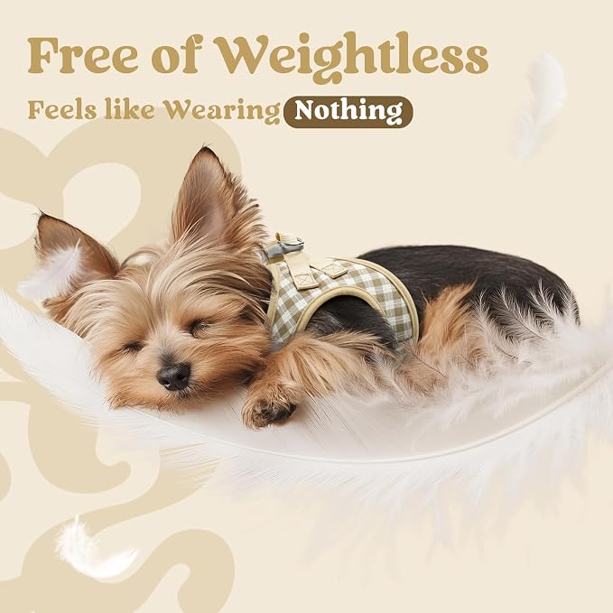 rabbitgoo Step-in Small Dog Harness, Puppy Vest for Small Sized Pet | Easy Put on and off, Lightweight, Soft, Breathable Quick-Dry Air Mesh for Comfortable Secure Walking, Beige Check S
