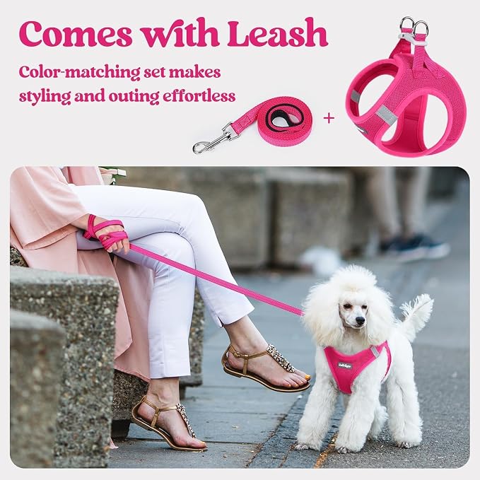 rabbitgoo Dog Harness Small Sized and Leash Set, Step-in Puppy Pet Vest | Light, Soft, Breathable Air Mesh, Easy on and Remove with Hook & Loop, Secure Reflective for Walking, Rose Red XXXS