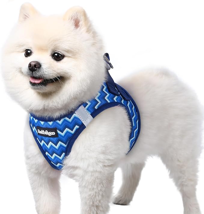 rabbitgoo Step-in Small Dog Harness, Puppy Vest for Small Sized Pet | Easy Put on and off, Lightweight, Soft, Breathable Quick-Dry Air Mesh for Comfortable Secure Walking, Blue Zigzag S