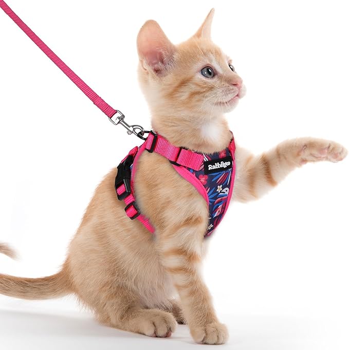 rabbitgoo Cat Harness and Leash Set, Escape Proof Vest, Coconut Fuchsia | Soft Breathable Mesh, Easy Adjustable Fit, Snap Buckles, Sturdy Clip, Reflective Strips, for Kittens & Small Cats Walks, Xxs