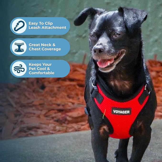 Voyager Step-in Lock Dog Harness - Red/Black Trim, X-Small | 13 - 16" in Chest, Adjustable, Breathable Air Mesh, Lightweight for Daily Walks, Strong Clips, Heavy Duty D-Ring
