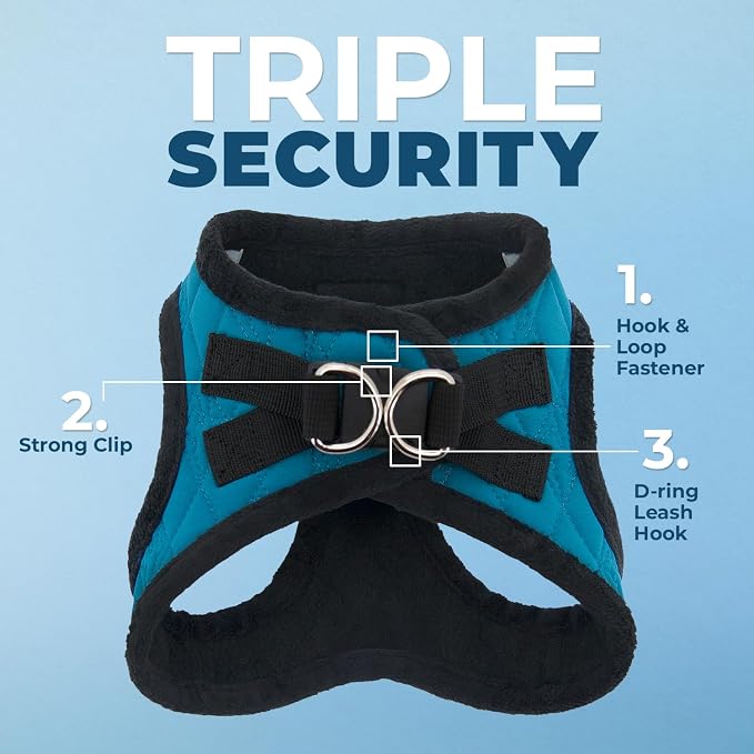 Best Pet Supplies Voyager Step-in Plush Dog Harness - Soft, Step in Vest Harness and Reflective Dog 5 ft Leash Combo with Neoprene Handle for Small and Medium Dogs, Turquoise Plush, S