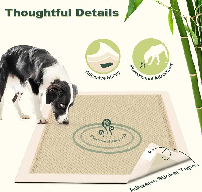 MIZOK Dog Pads Extra Large 36x36in Pee Pads for Dogs Bamboo Odor Eliminating, Dog Pee Pads XL 11 Cups Super Absorbent 6-Layer Leak-Proof Puppy Pads with Adhesive Stickers, Disposable (60 Counts)