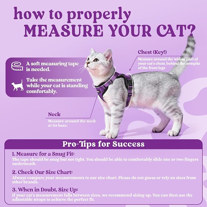 rabbitgoo Cat Harness and Leash Set, Escape Proof Vest, Purple | Soft Breathable Mesh, Easy Adjustable Fit, Snap Buckles, Sturdy Clip, Reflective Strips, for Medium to Large Cats Walks, M