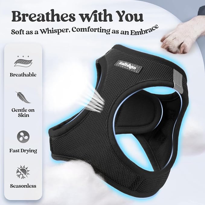rabbitgoo Dog Harness Small Sized and Leash Set, Step-in Puppy Pet Vest | Light, Soft, Breathable Air Mesh, Easy on and Remove with Hook & Loop, Secure Reflective for Walking, Black S