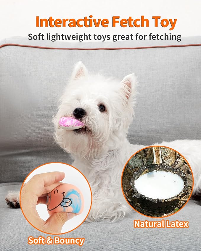 SCHITEC Squeaky Dog Toys, [6 Pack] Interactive Latex Rubber Squeak Ball Toy, Soft Fetch Play Balls for Puppy Small Dogs