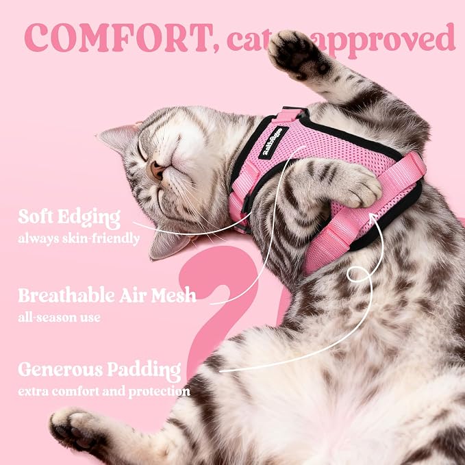 rabbitgoo Cat Harness and Leash Set, Escape Proof Vest, Pink | Soft Breathable Mesh, Easy Adjustable Fit, Snap Buckles, Sturdy Clip, Reflective Strips, for Medium to Large Cats Walks, M