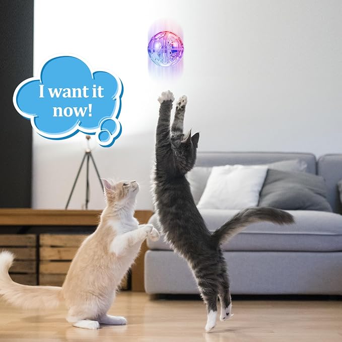 Sratte 8 Pcs Rechargeable Cat Ball Ghost Hunting Light up Cat Balls Toys Motion LED Motion Activated Flash Glowing Lighted Dog Interactive Toys Pet (Clear)