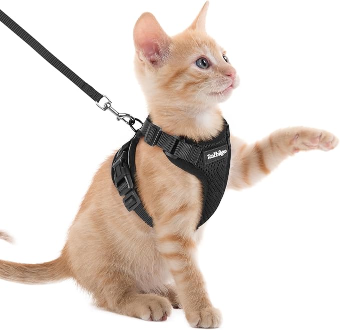 rabbitgoo Cat Harness and Leash Set, Escape Proof Vest, Black | Soft Breathable Mesh, Easy Adjustable Fit, Snap Buckles, Sturdy Clip, Reflective Strips, for Kittens & Small Cats Walks, Xxs