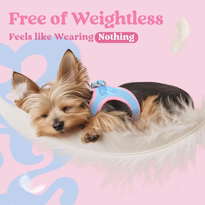 rabbitgoo Step-in Small Dog Harness, Puppy Vest for Medium Sized Pet | Easy Put on and off, Lightweight, Soft, Breathable Quick-Dry Air Mesh for Comfortable Secure Walking, Blue & Light Pink XXL