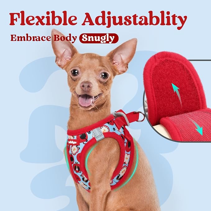 rabbitgoo Step-in Small Dog Harness, Puppy Vest for Small Sized Pet | Easy Put on and off, Lightweight, Soft, Breathable Quick-Dry Air Mesh for Comfortable Secure Walking, Apple Pups XS