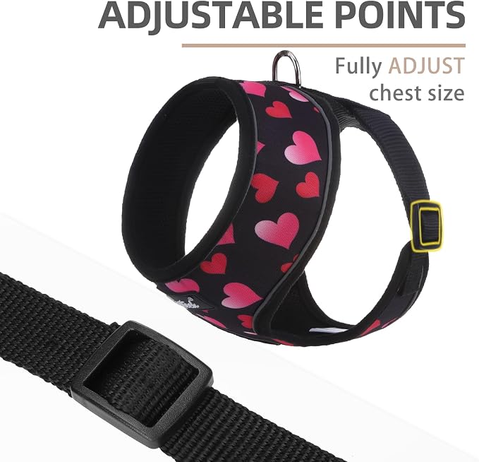 PUPTECK Soft Mesh Dog Harness and Leash Set Pet Puppy Cat Comfort Padded Vest No Pull Harnesses Valentine, Black&Pink, XS