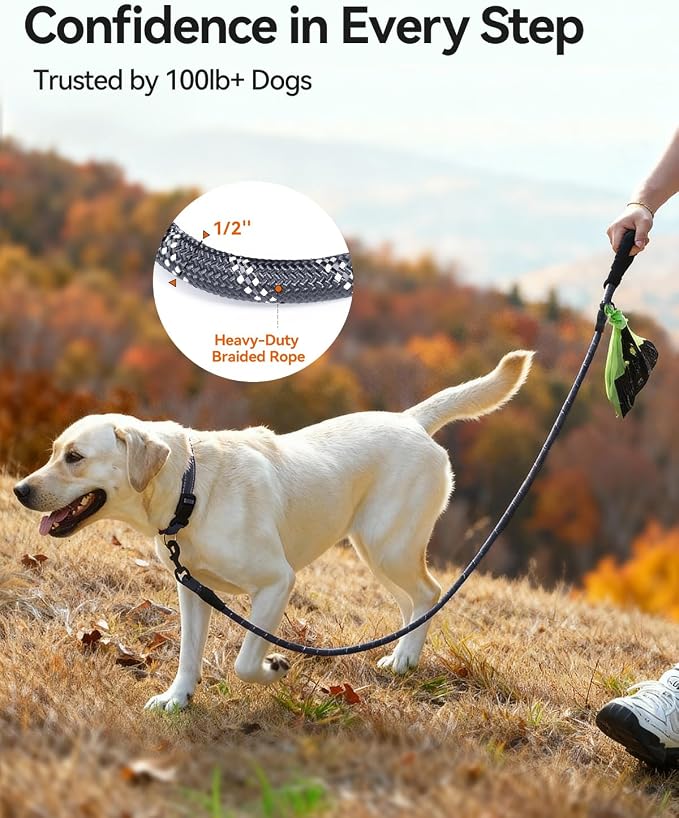 Joytale Rope Dog Leash for Medium Large Dogs, Padded Handle, 5FT, Gray | Reinforced Nylon Webbing, Comfort Grip Eases Hand Strain, Swivel Clip Prevents Tangles, Visible at Night, for Outdoor Walks