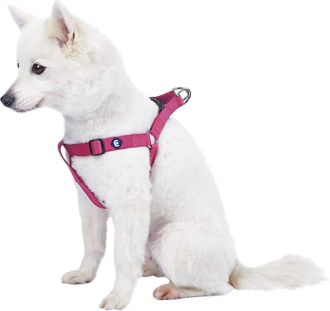 Blueberry Pet Essentials Step-in Dog Harness, Large Size | Adjustable Very Berry Vest | Classic Solid Nylon for Boy & Girl Dogs, Chest Girth 26"-39"