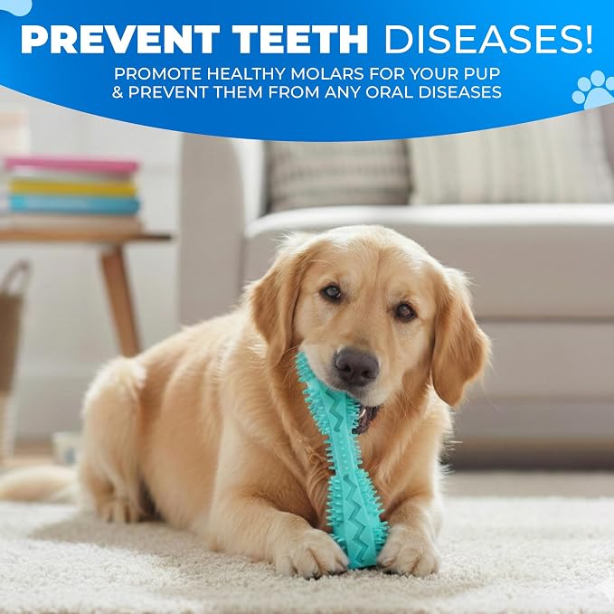 Dog Toothbrush Kit with Travel Cases – 4 Silicone Finger Toothbrushes for Dogs & Cats – Pet Dental Care, Dog Teeth Cleaning, Plaque & Tartar Control (Dog Toothbrush Kit + Dental Chew Toy)