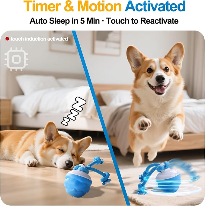 Interactive Dog Ball, Blue USB-C Rechargeable Rolling Toy | Touch activation starts rolling and chirping play modes for supervised indoor sessions