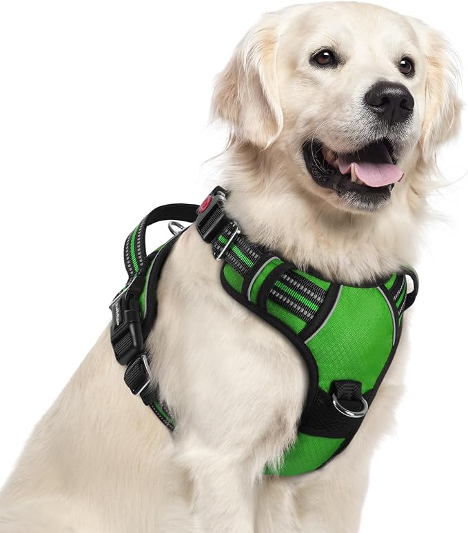 rabbitgoo Dog Harness for Large, No Pull 3 Buckles Easy On & Off | Soft Padded, Walking with Control Handle, Adjustable and Reflective, Green, X-Large