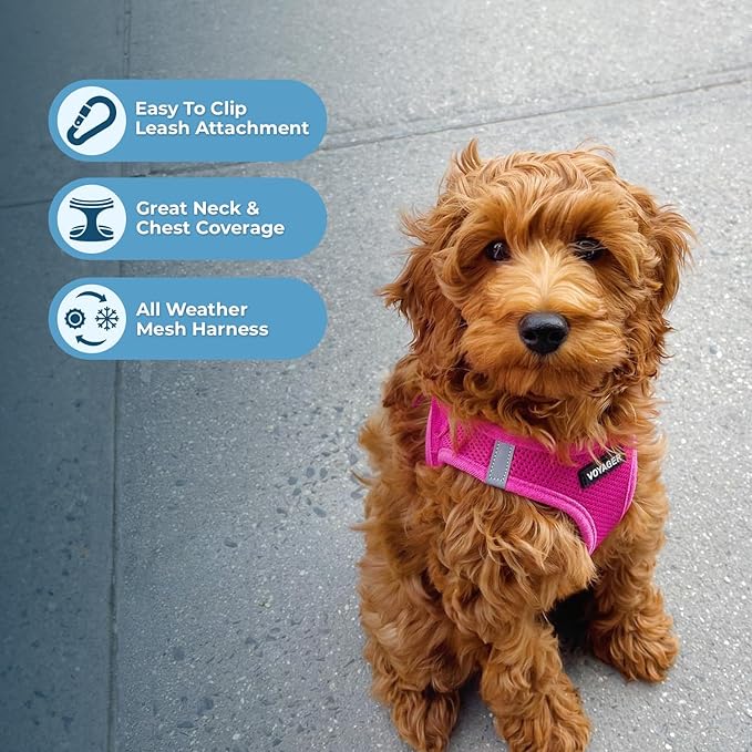 Best Pet Supplies Voyager Step-in Air All Weather Mesh Harness and Reflective Dog 5ft Leash Combo with Neoprene Handle, for Small, Medium and Large Breed Puppies - Fuchsia, XXX-Small