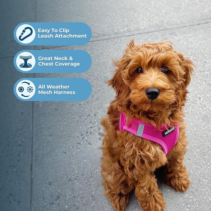 Best Pet Supplies Voyager Step-in Air All Weather Mesh Harness and Reflective Dog 5ft Leash Combo with Neoprene Handle, for Small, Medium and Large Breed Puppies - Fuchsia, XX-Small