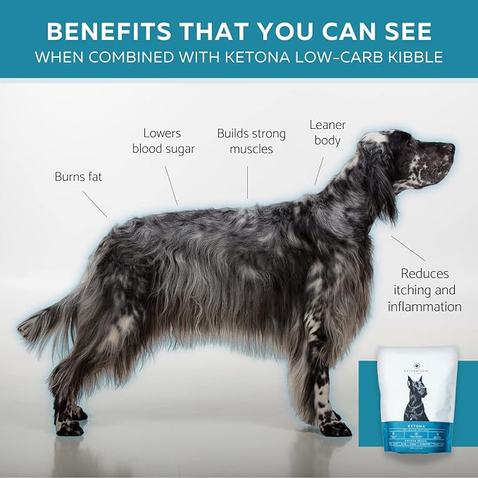Ketona Daily Calming Chews with Hemp for Dogs, 120-Pack, 120 Count