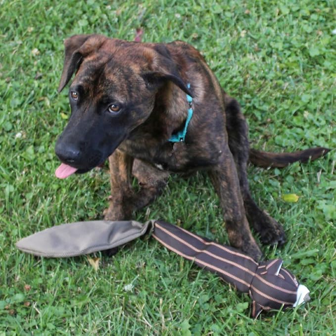 SPOT Skinneeez Durables Chipmunk- Extra Tough Dog Toy Made from Ballistic Material, Stuffingless Dog Chew Toy for Strong Chewers, Great for Fetch and Tug with Large Dogs and Puppies - 23in