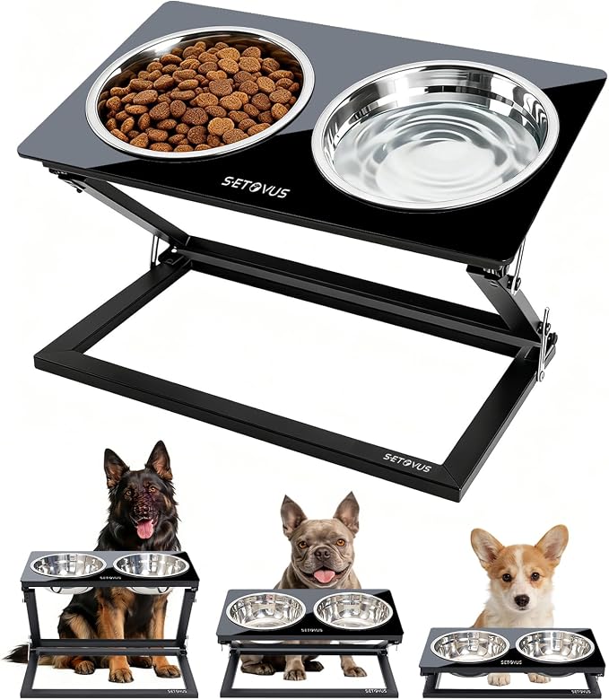 Elevated Dog Bowls, Adjustable Raised Dog Bowl Stand with 2 Stainless Steel Food Bowls 20°Tilted Water Bowls for Medium Small Sized Dogs (Black, Medium)