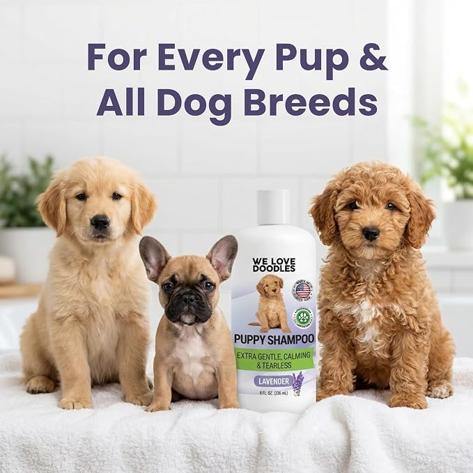 Puppy Shampoo & Conditioner, Tearless Hypoallergenic Wash, Lavender, 8 oz | Best Gentle Tear Free Puppy Shampoo 8+ Weeks Old, Sensitive Skin Golden Doodle Dog & Poodle Bath Soap, Natural, Made In USA