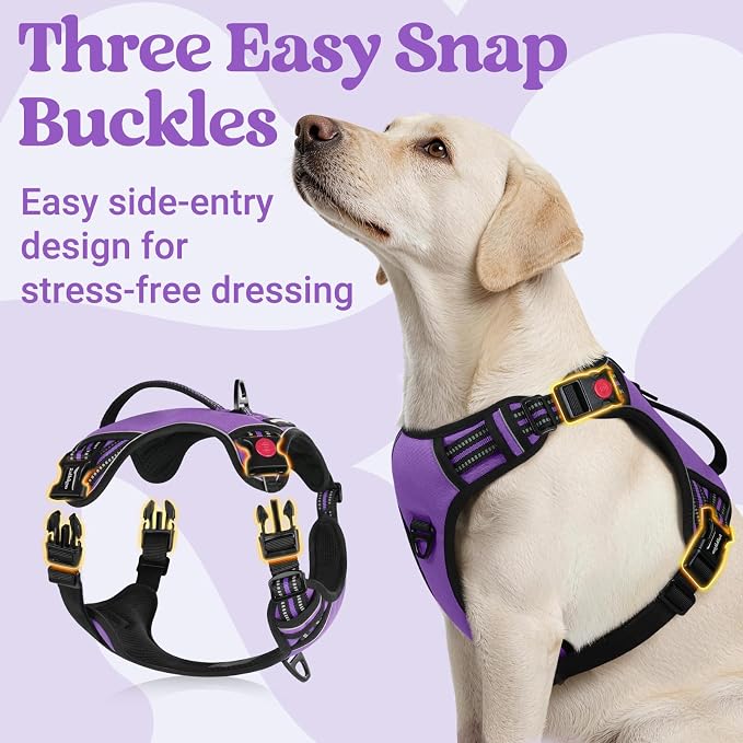 rabbitgoo Large Dog Harness, Easy Wear with 3 Buckles and Lift Handle | No Pull with Front Clip for Walking, Adjustable Soft Padded, Reflective, Easy Control, Purple, Large