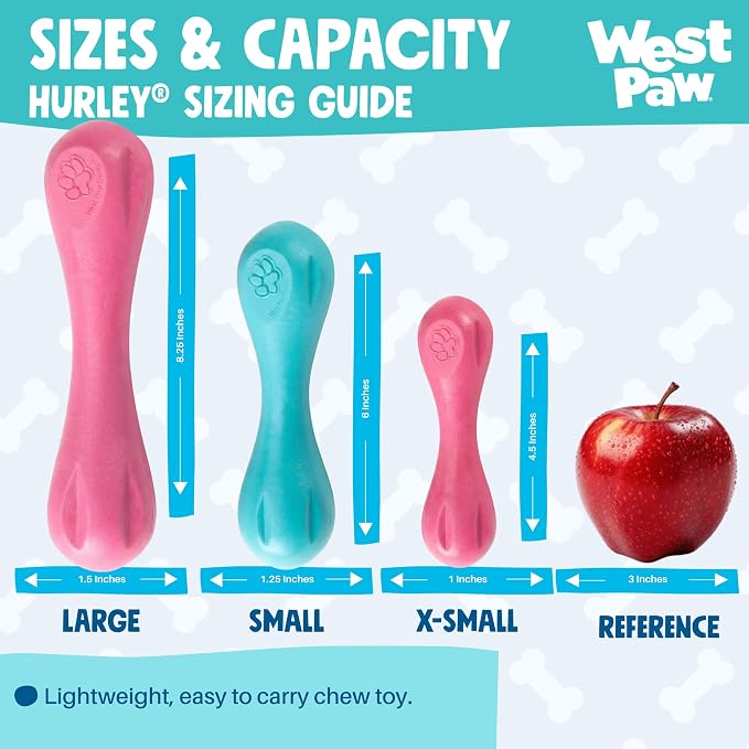 WEST PAW Zogoflex Hurley Dog Bone Chew Toy – Floatable Pet Toys for Aggressive Chewers, Catch, Fetch – Bright-Colored Bones for Dogs – Recyclable, Dishwasher-Safe, Non-Toxic, Large, Teal (Pack of 2)