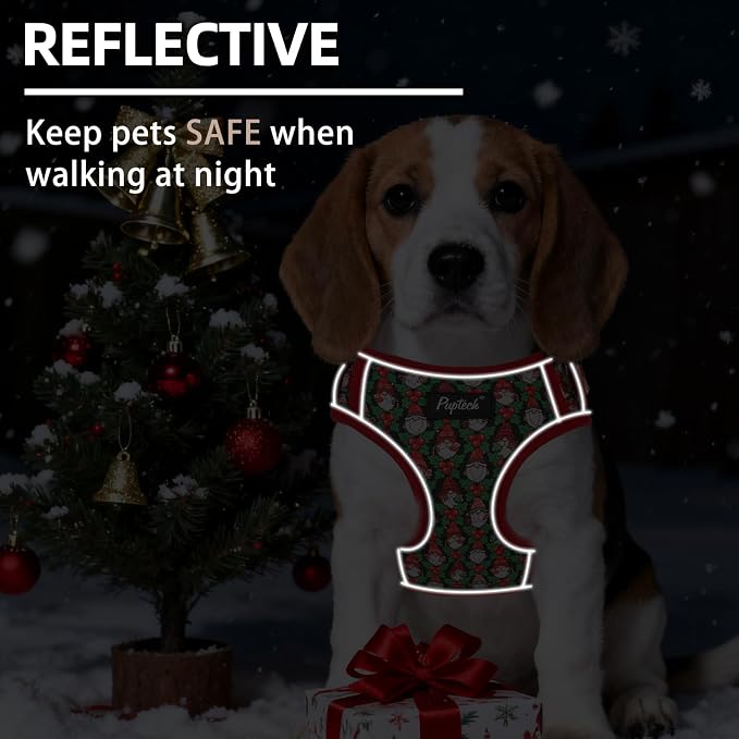 PUPTECK Christmas Dog Harness Collar and Leash Set with Gift Box, No Pull Soft Light Pet Harness, Reflective Adjustable Puppy Vest, for Small Sized Dogs Cats Walks, Red&Green S