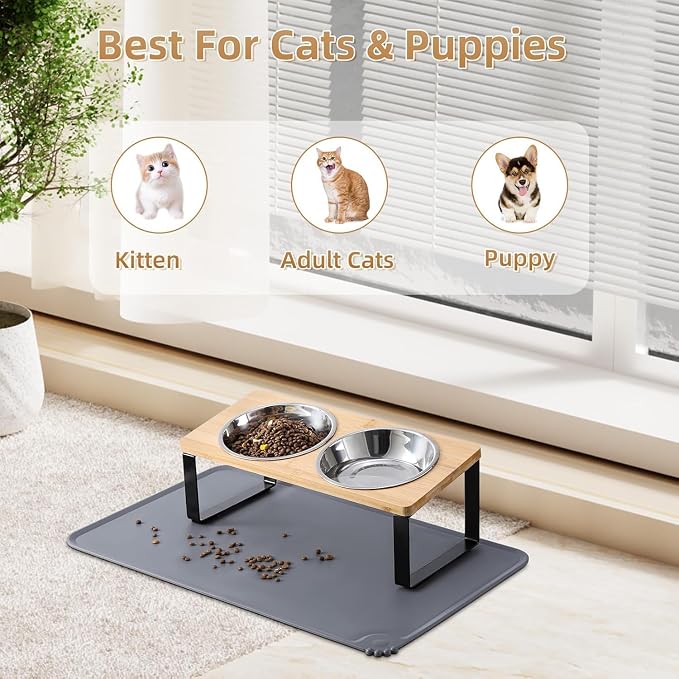 2 Pack Elevated Cat Bowls with Food Mat,15°Tilted Stand Anti Vomiting Raised Cat Dishes for Food and Water,2 Stainless Steel Bowls for Cats and Puppy