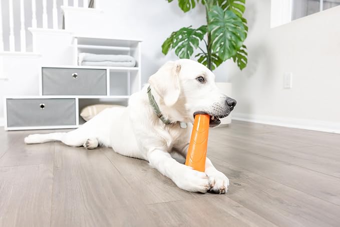 Chuckit! Super Crunch Fetch Stick Dog Toy, Durable TPR, Breeds 20-100 lbs | Enticing sound effects keep play exciting, mentally and physically engaging for medium and large sized pups, 9.2 inches long