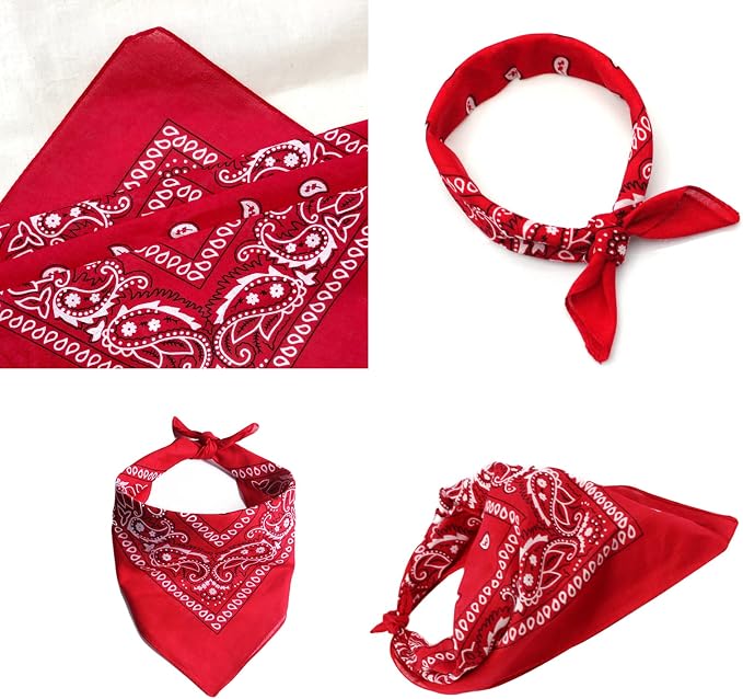 Dog Cowboy Hat & Bandana Scarf (Coffee, Large, Large