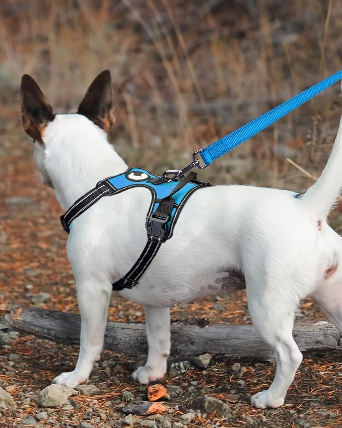 Joytale Dog Harness (Chest: 12-21"), Dog Collar and 6FT x 3/4" Wide Dog Leash Set, Reflective Padded Nylon Collar and Leash, Adjustable Soft Harness with Handle for Dogs