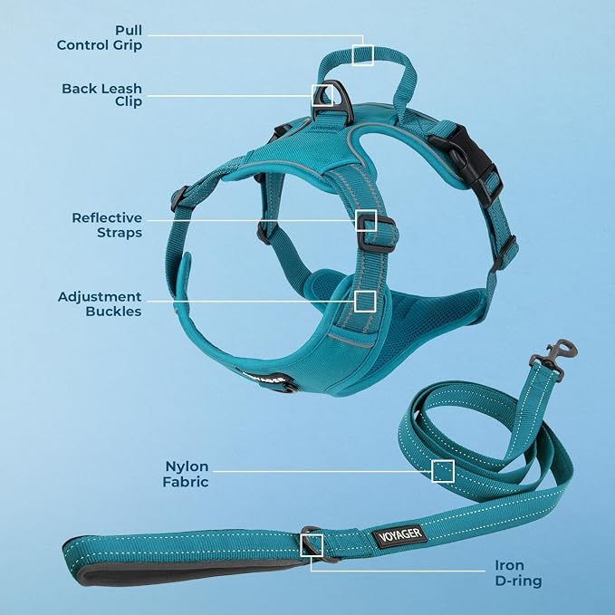 Voyager Dog Harness Dual Leash Attachment No-Pull Control Adjustable Soft but Strong Pet Harness for Medium and Large Dogs with 3M Reflective Technology, Leash Set Turquoise Nylon, XL (Chest: 28-37")