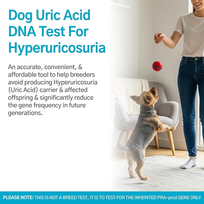 Dog Uric Acid DNA Test for Hyperuricosuria